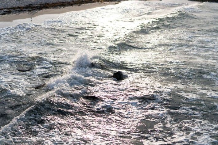 Wellen, die sich an Steinen brechen. Im Hintergrund ein Strand mit Möwe.
